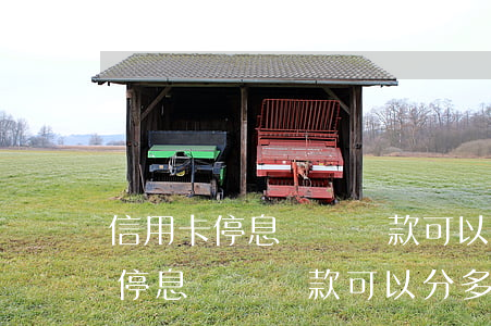 信用卡停息掛賬還款可以分多少期-信用卡停息掛賬還款可以分多少期還