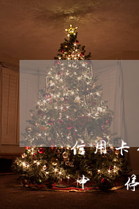 信用卡停息掛賬都還不上(信用卡還不起怎么申請停息掛賬)