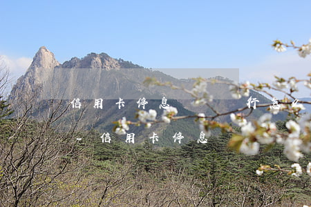 信用卡停息掛賬銀行怎么處理廣發(fā)-信用卡 停息掛賬