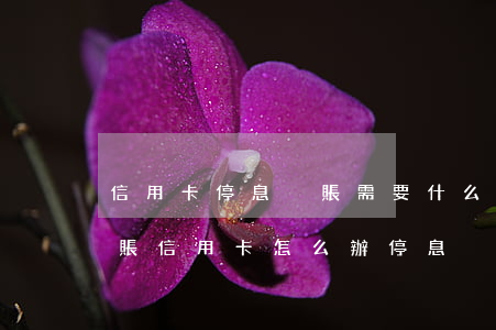 信用卡停息掛賬需要什么資料(什么是停息掛賬?信用卡怎么辦停息掛賬?)
