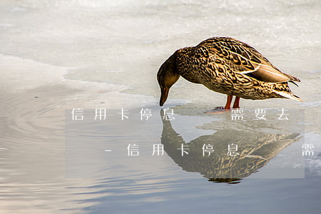 信用卡停息掛賬需要去銀行柜臺(tái)嗎-信用卡停息掛賬需要去銀行柜臺(tái)嗎安全嗎