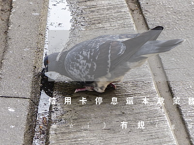 信用卡停息還本政策(國(guó)家有沒(méi)有規(guī)定信用卡可以停息掛賬的說(shuō)法)