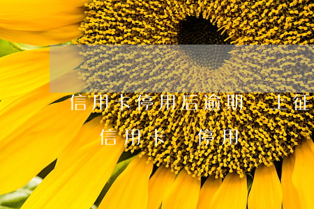 信用卡停用后逾期會上征信嗎(如果征信有問題信用卡會停用嗎)
