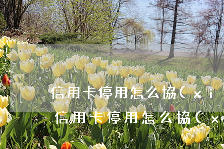 信用卡停用怎么協(xié)商分期還款-信用卡停用怎么協(xié)商分期還款呢