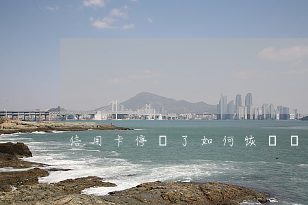 信用卡停額了：如何恢復額度？