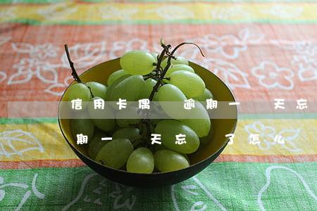 信用卡偶爾逾期一兩天忘還了(信用卡偶爾逾期一兩天忘還了怎么辦)