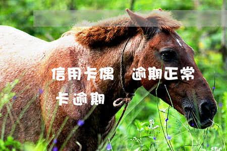 信用卡偶爾逾期正常嗎(為什么這么多人信用卡逾期)