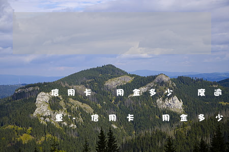 信用卡備用金多少額度逾期算嚴(yán)重-信用卡備用金多少額度逾期算嚴(yán)重的