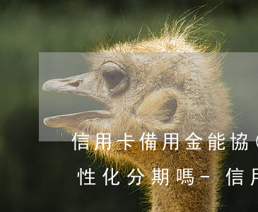 信用卡備用金能協(xié)商個(gè)性化分期嗎-信用卡備用金能協(xié)商個(gè)性化分期嗎