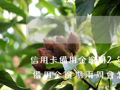信用卡備用金逾期2年能協(xié)商嗎(備用金逾期兩周會怎樣)