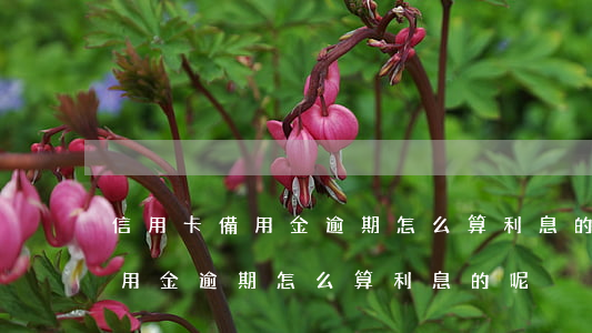 信用卡備用金逾期怎么算利息的-信用卡備用金逾期怎么算利息的呢
