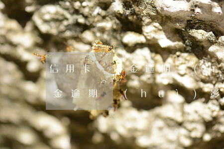 信用卡備用金逾期會(huì)坐牢嘛(備用金逾期會(huì)影響信用嗎?)