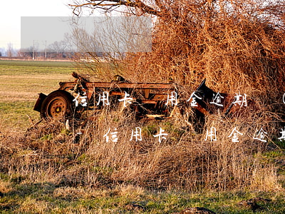 信用卡備用金逾期會(huì)是什么后果-信用卡備用金逾期會(huì)是什么后果呢
