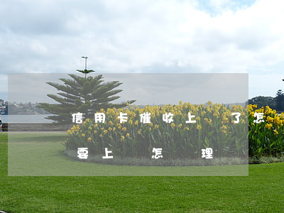 信用卡催收上門了怎樣應付(信用卡催收人員要上門怎處理)