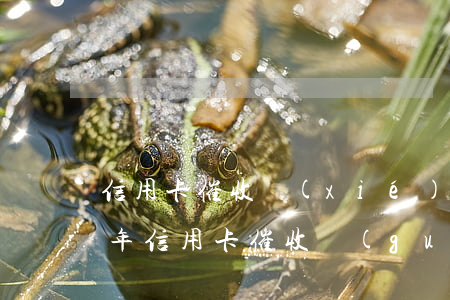 信用卡催收協(xié)商可以嗎(2020年信用卡催收規(guī)定)