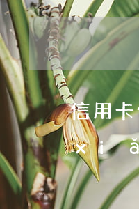 信用卡催收策略與法律風(fēng)險(xiǎn)管理-信用卡催收策略與法律風(fēng)險(xiǎn)管理研究