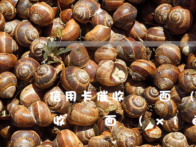 信用卡催收說見面協(xié)商(信用卡催收說見面協(xié)商是真的嗎)