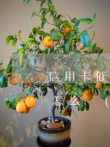 信用卡催款怎么協(xié)商(信用卡催款怎么協(xié)商還本金)