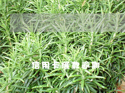 信用卡催款逾期詐騙