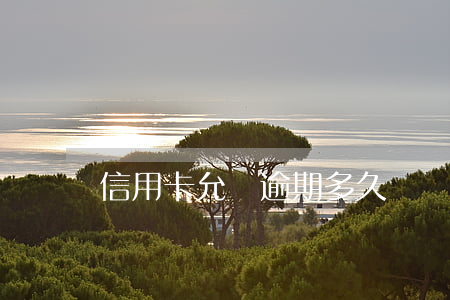 信用卡允許逾期多久