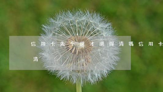 信用卡先不還才還得清嗎(信用卡能否提前還清)