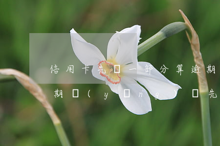 信用卡先還一部分算逾期嗎(有多張信用卡逾期,應(yīng)該先還小額還是大額)