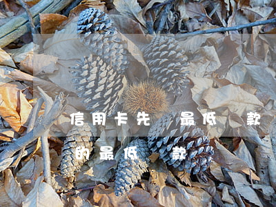 信用卡先還最低還款額算逾期嗎-還信用卡的最低還款額