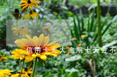 信用卡光大逾期十天会不会有事