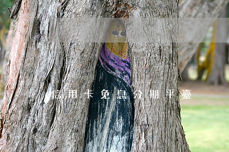 信用卡免息分期平臺
