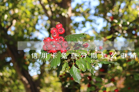 信用卡免息分期怎么申請(信用卡還款大忌)