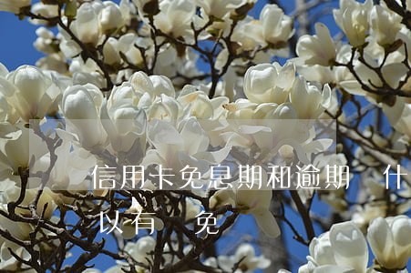 信用卡免息期和逾期(為什么信用卡逾期還可以有減免)
