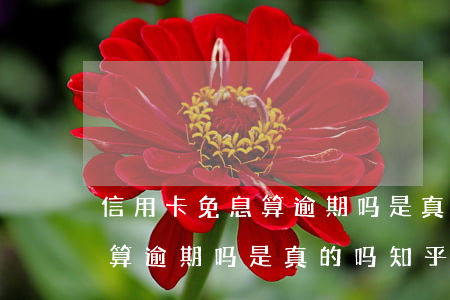 信用卡免息算逾期吗是真的吗-信用卡免息算逾期吗是真的吗知乎