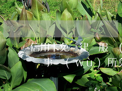 信用卡免費律師服務(wù)(信用卡逾期 律師事務(wù)所免費咨詢)