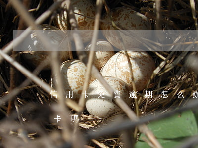 信用卡免費逾期怎么辦理(逾期可以辦理信用卡嗎)