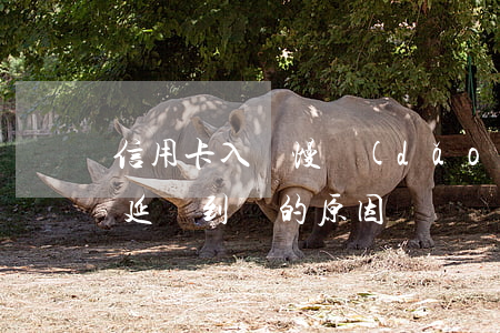 信用卡入賬慢導(dǎo)致逾期(還信用卡延遲到賬的原因)