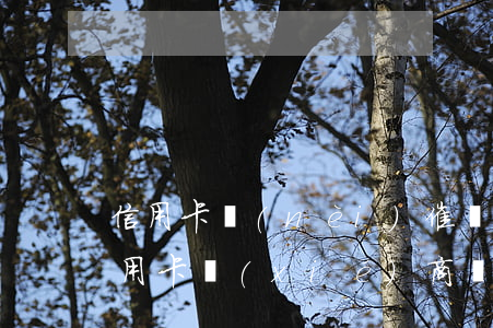 信用卡內(nèi)催協(xié)商(欠信用卡協(xié)商還款技巧)