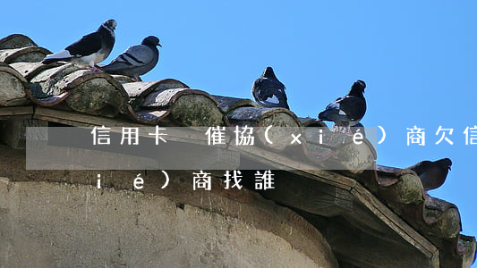 信用卡內催協(xié)商(欠信用卡協(xié)商找誰)