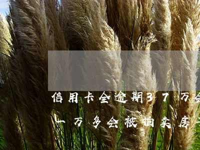 信用卡全逾期37万会拍卖房产吗(欠信用卡一万多会被拍卖房子吗)