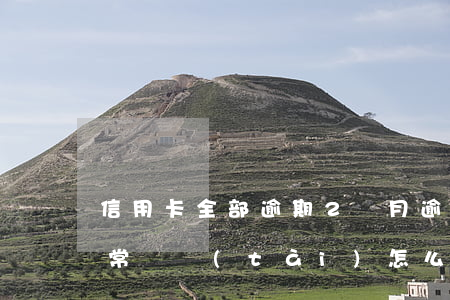 信用卡全部逾期2個月(逾期兩個月信用卡異常狀態(tài)怎么解封)