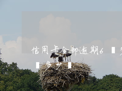 信用卡全部逾期6萬多少(信用卡全部逾期6萬多少錢)