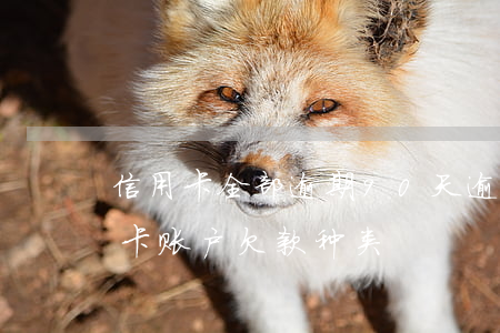 信用卡全部逾期90天(逾期90天以上信用卡账户欠款种类)