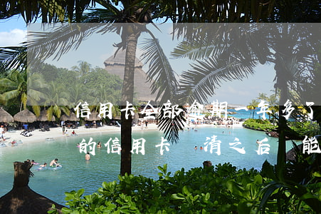 信用卡全部逾期一年多了還能用嗎(逾期很久的信用卡還清之后還能用嗎)
