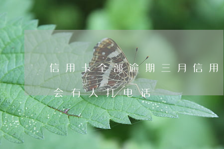 信用卡全部逾期三月(信用卡逾期三月客服说会有人打电话)