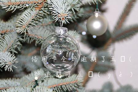 信用卡全部逾期了五個(gè)月(信用卡全部逾期了五個(gè)月)