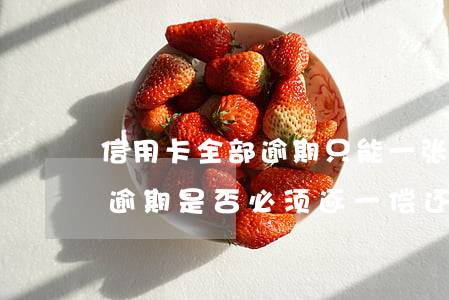 信用卡全部逾期只能一张一张还款吗，信用卡逾期：是否必须逐一偿还？
