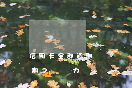 信用卡全部逾期沒錢償還怎么辦(欠信用卡逾期7萬無力償還)