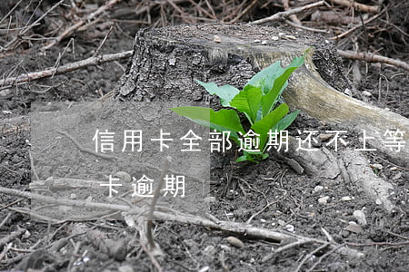 信用卡全部逾期还不上等死了-人死了信用卡逾期