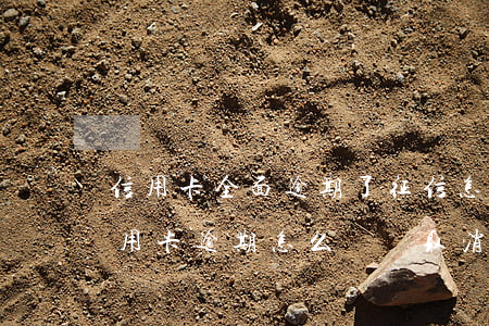 信用卡全面逾期了征信怎么辦(征信上面的信用卡逾期怎么樣會取消)