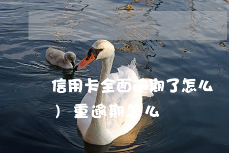 信用卡全面逾期了怎么辦(信用卡嚴(yán)重逾期怎么辦)
