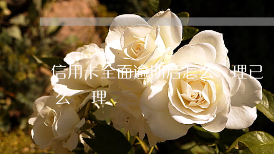 信用卡全面逾期后怎么處理(已過期信用卡怎么處理)